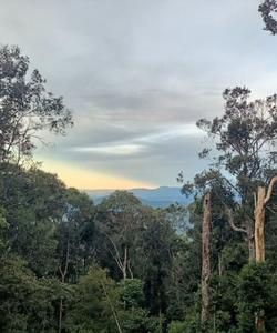 Cambodia Hiking