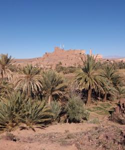 Local landscapes