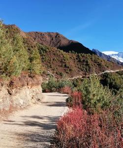 Nepal Trekking