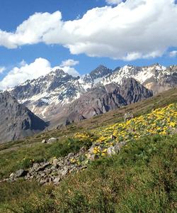 Chile Trekking