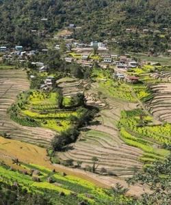 Nepal Trekking