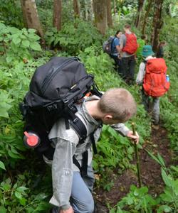 On the trek 