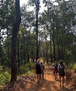 On the trek 