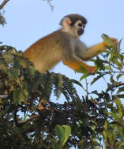 Ecuador Trekking