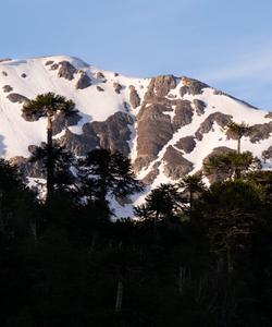 Chile Travel