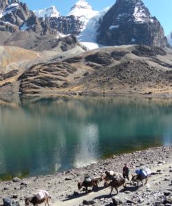 Andes trekking