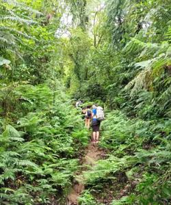 On the trek 
