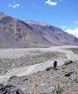 Group trek in the Andes