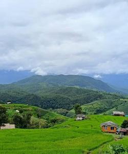 Local landscape 