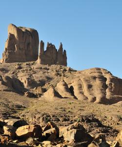 Local landscape