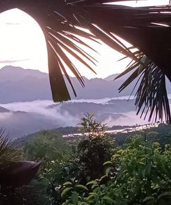 Local landscape 