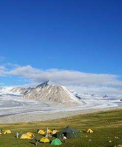 Tents 