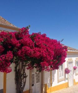 Portugal Travel