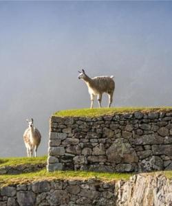 Peru Trekking