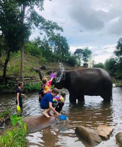 Learn about elephants