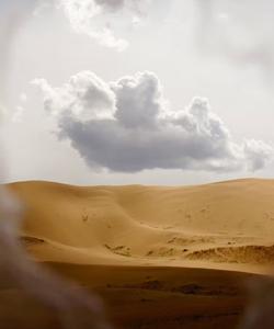 Local landscape 
