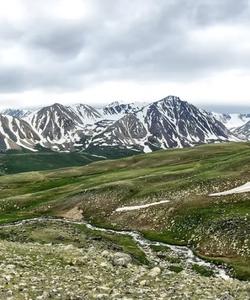 Local landscape 