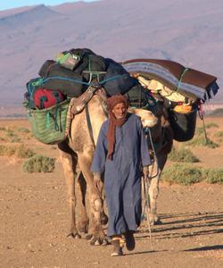 Camel ride 