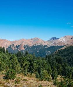 Local landscape 