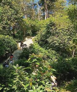 Local landscape 