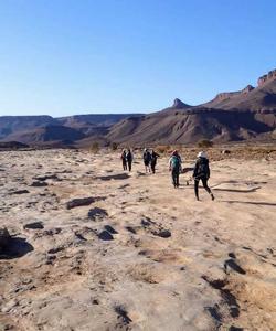 On the trek 