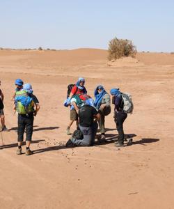 On the trek
