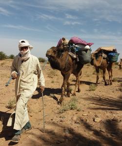 On the trek 