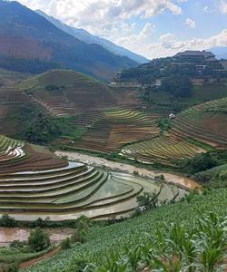 Local landscape 