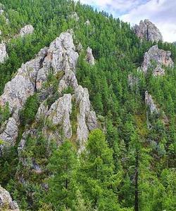 Local landscape 