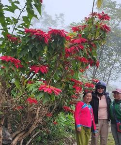 On the trek 