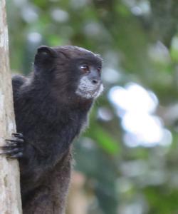 Ecuador Trekking