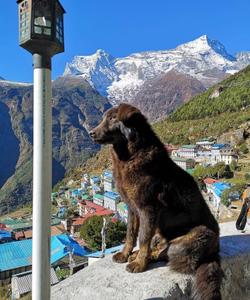Nepal Travel