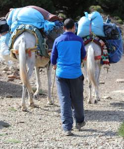 On the trek 