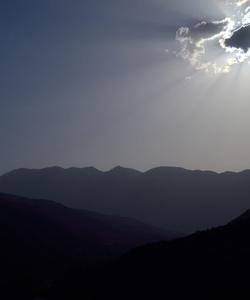 Local landscape 