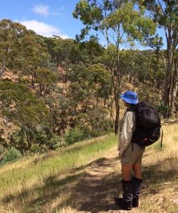 tourist in forest looking at slopes