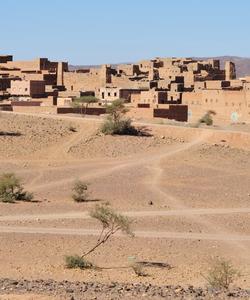 Local landscape