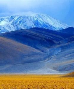 Local landscape 