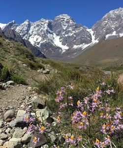 Chile Hiking