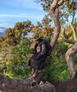 On the trek 