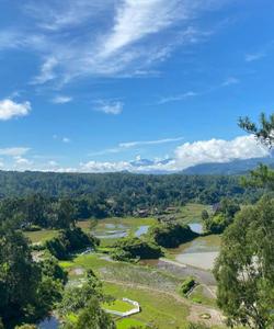 Local landscape 