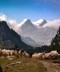 Bosnia Hiking