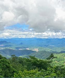 Local landscape 