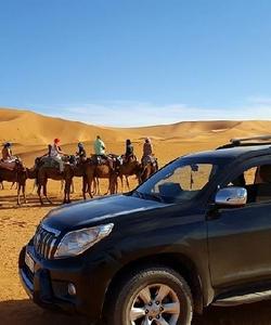 Camel ride 