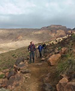 On the trek