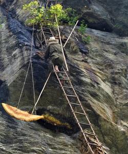 Honey Hunting Nepal