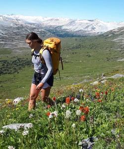 On the trek 