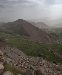 Local landscape 