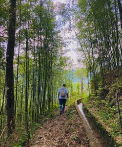 On the trek 