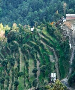 Nepal Trekking