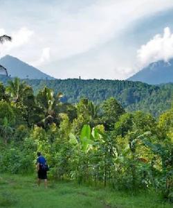 Local landscape 